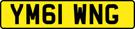 YM61WNG