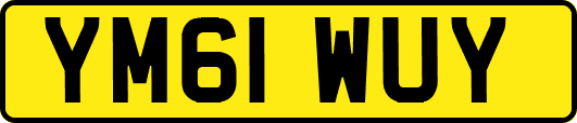 YM61WUY