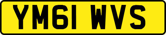 YM61WVS