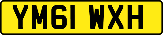 YM61WXH