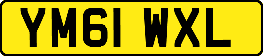 YM61WXL