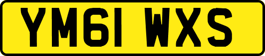 YM61WXS
