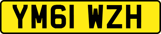YM61WZH