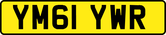 YM61YWR