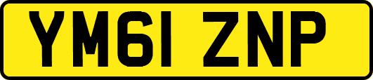 YM61ZNP