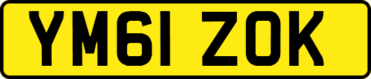 YM61ZOK