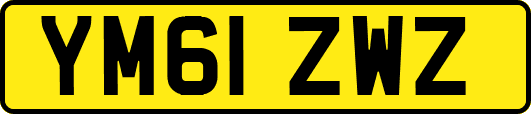YM61ZWZ