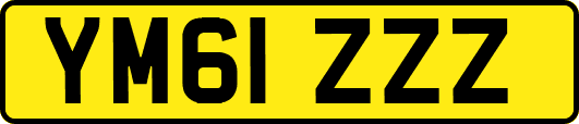 YM61ZZZ