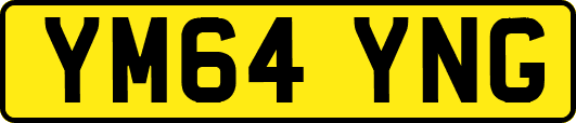 YM64YNG