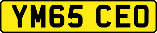 YM65CEO