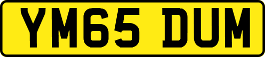 YM65DUM