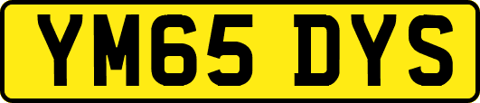 YM65DYS