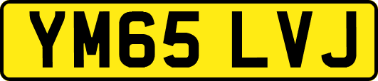 YM65LVJ