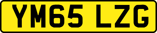 YM65LZG