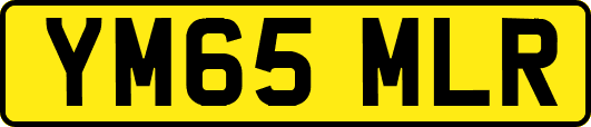 YM65MLR