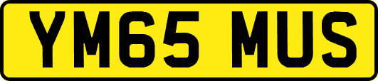 YM65MUS