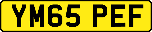 YM65PEF