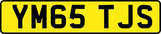 YM65TJS