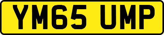 YM65UMP