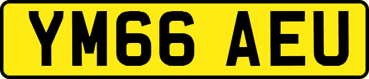 YM66AEU