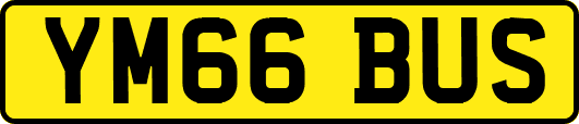 YM66BUS