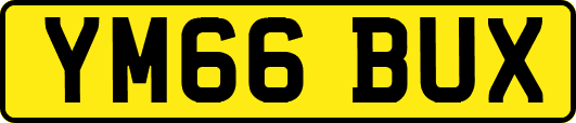 YM66BUX