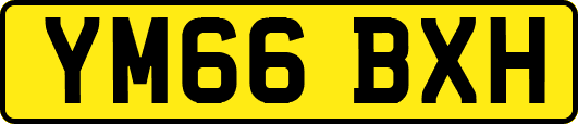 YM66BXH