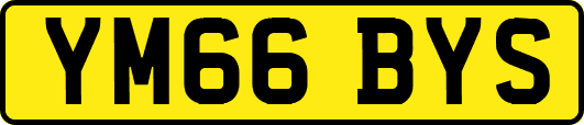 YM66BYS