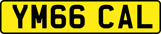 YM66CAL