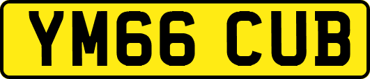 YM66CUB