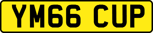 YM66CUP