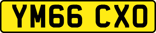 YM66CXO