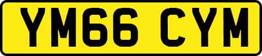 YM66CYM