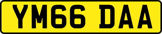 YM66DAA