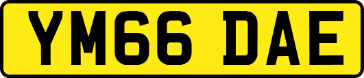 YM66DAE