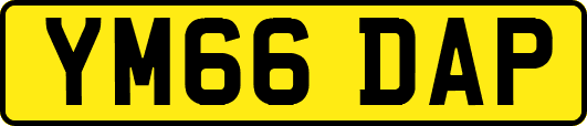 YM66DAP