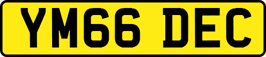 YM66DEC