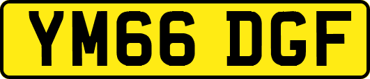 YM66DGF