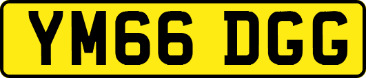 YM66DGG