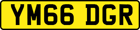 YM66DGR