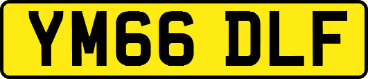 YM66DLF