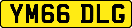 YM66DLG