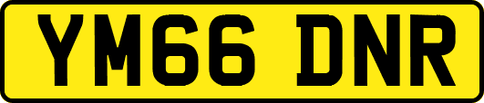 YM66DNR