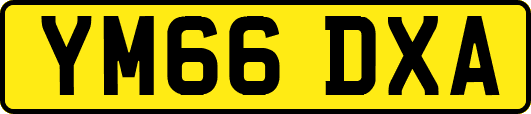 YM66DXA