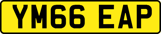 YM66EAP