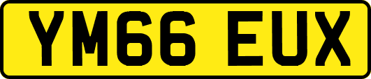 YM66EUX