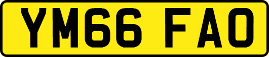 YM66FAO