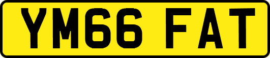 YM66FAT