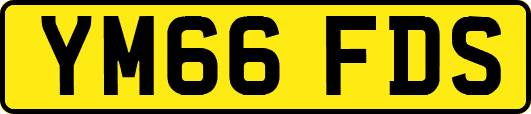 YM66FDS