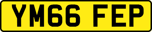 YM66FEP